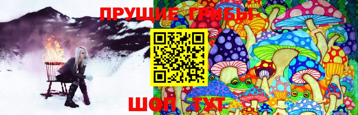 Псилоцибиновые грибы прущие грибы Когалым