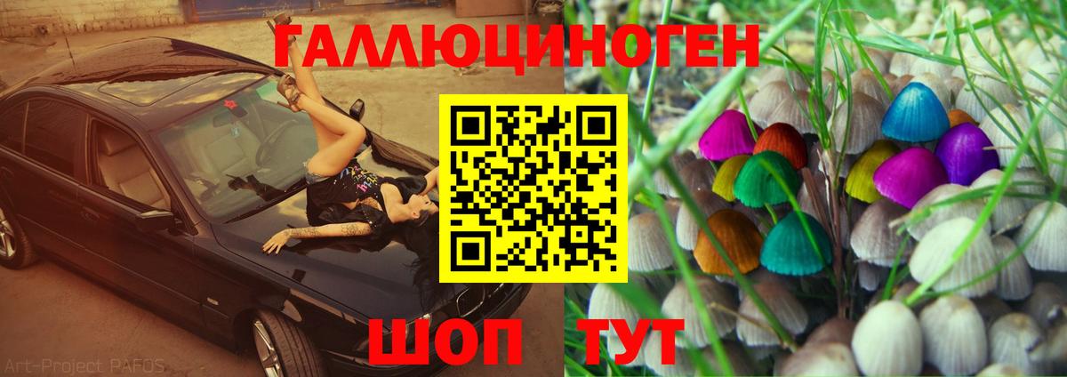Когалым  Галлюциногенные грибы Psilocybine cubensis  Вход с VPN 